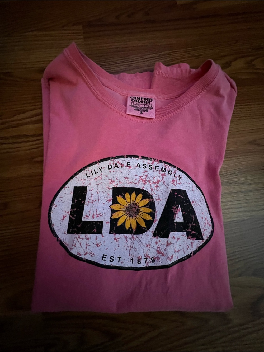 Lily Dale Assembly Comfort Colors Pink LDA Graphic Tee—gently loved!